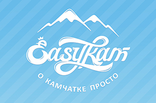 Разработка сайта для Easykam